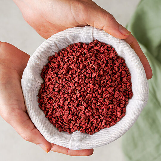 Bowl of annatto seeds – natural red spice color for food coloring