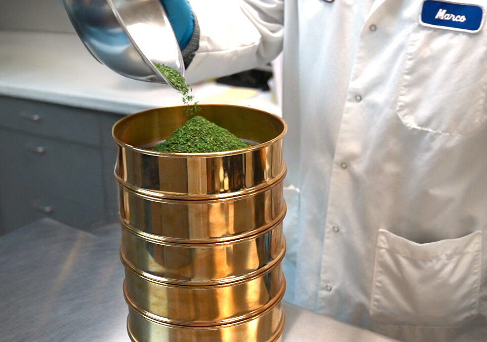 Why Mesh Size Matters in Commercial Spice Manufacturing & Blending